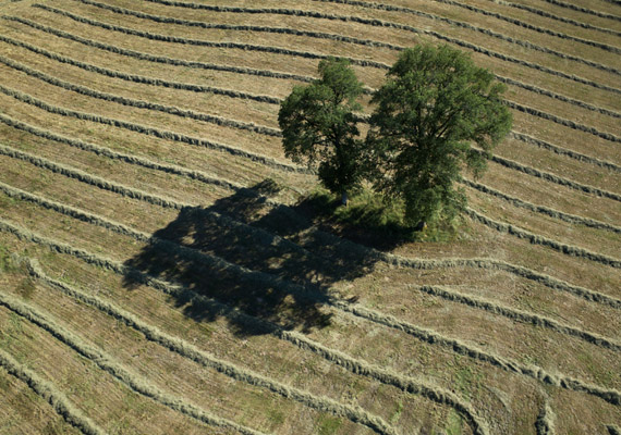 Saint-Gence (Haute-Vienne, Limousin)